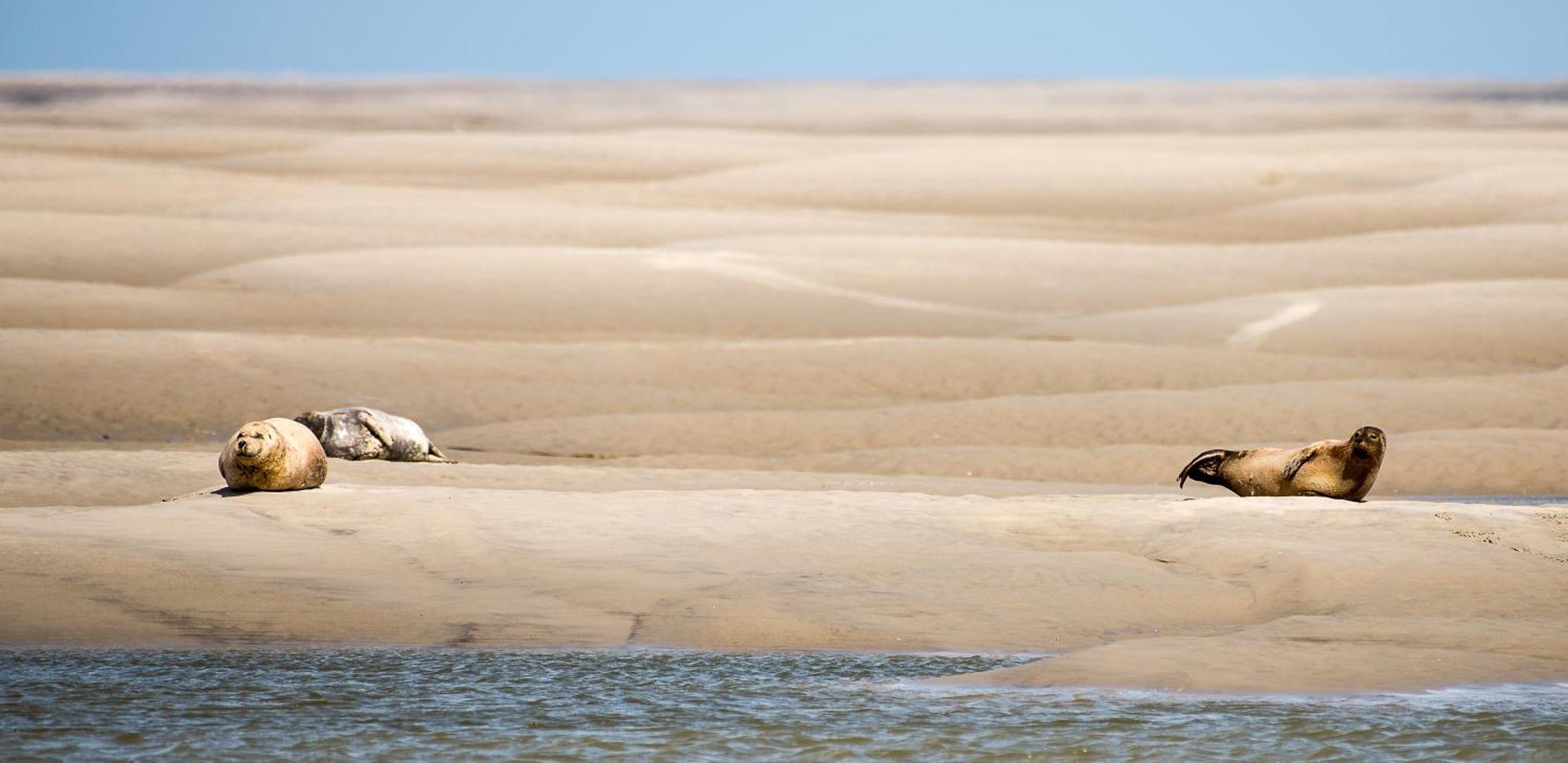 Odyssee Gite Sur Peniche Saint-Valéry-sur-Somme Zewnętrze zdjęcie